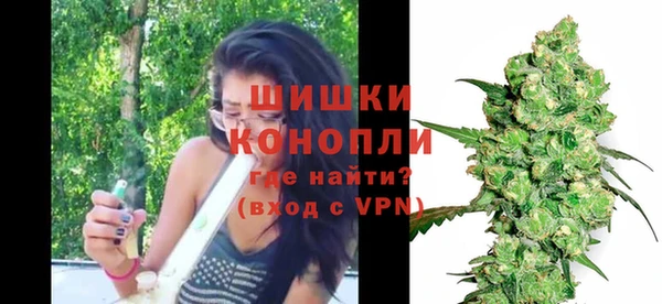 шишки Майский