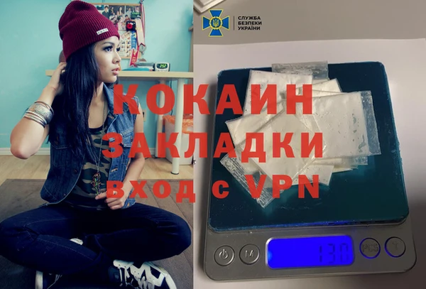 шишки Майский