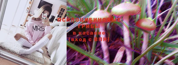 сатива Чита