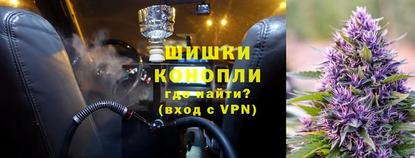 шишки Майский