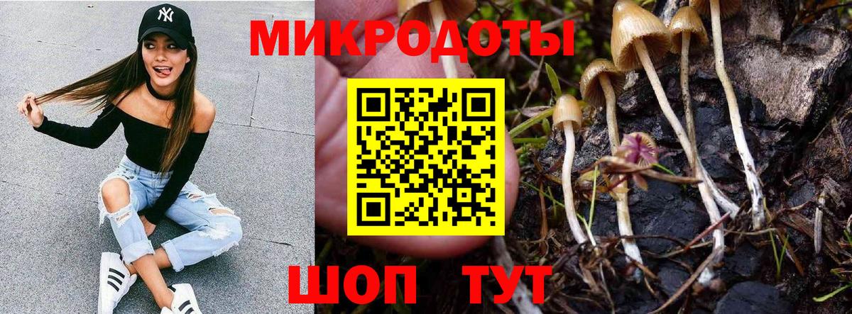 Галлюциногенные грибы Psilocybe  Галлюциногенные грибы MAGIC MUSHROOMS  Вход с VPN  Брянск 